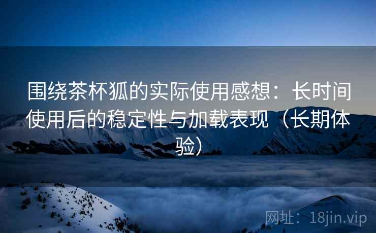 围绕茶杯狐的实际使用感想：长时间使用后的稳定性与加载表现（长期体验）  第2张